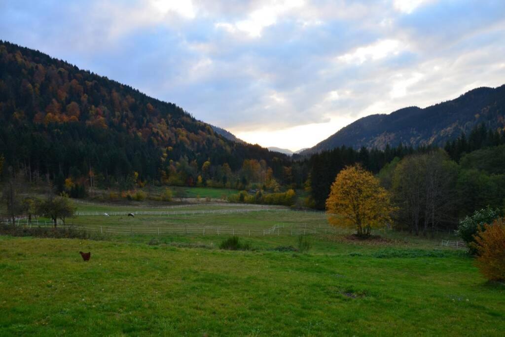 Gite De La Cheneau Rochesson Экстерьер фото