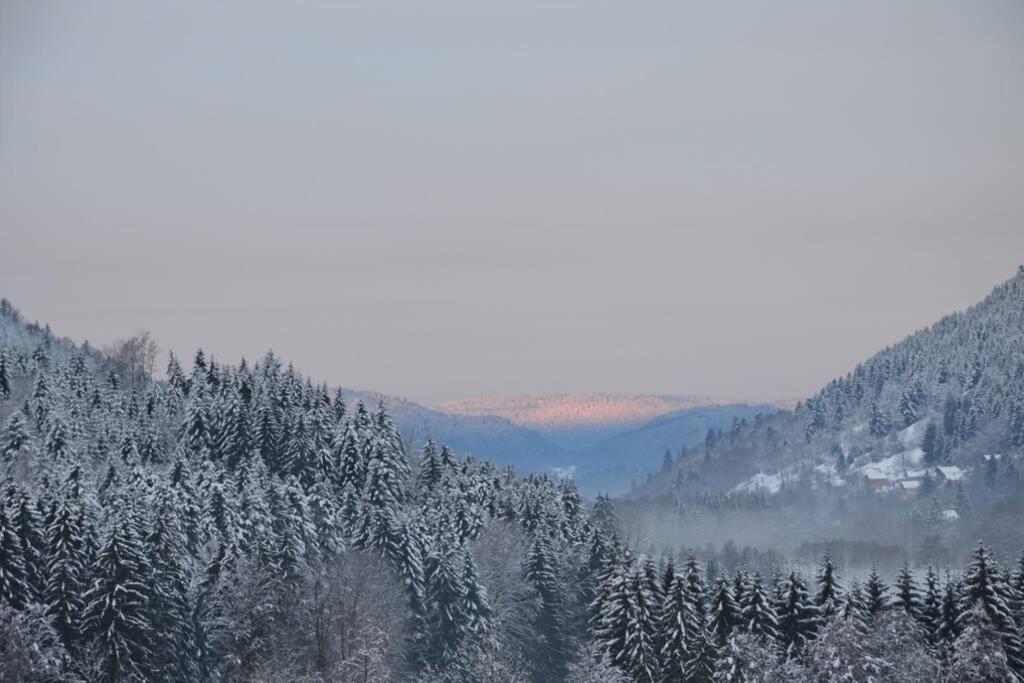 Gite De La Cheneau Rochesson Экстерьер фото